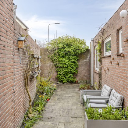 Zonnige stadstuin
