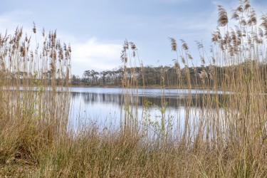 Omgeving