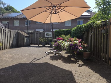 Extra foto's