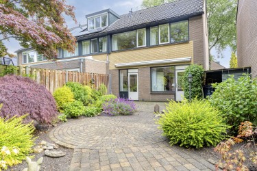 Tuin