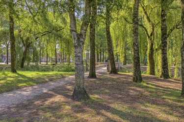 Extra foto's