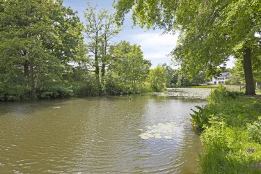 Omgeving