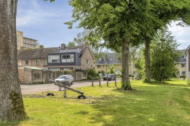Omgeving