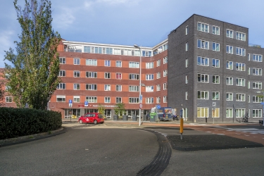Alles dichtbij