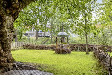Omgeving