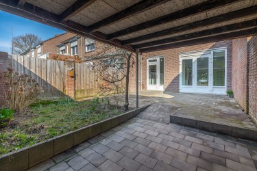 Tuin
