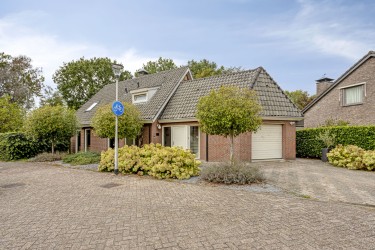 Hoofdfoto