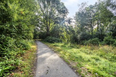 Groene omgeving
