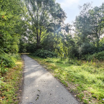 Groene omgeving