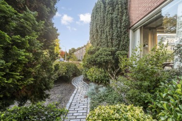 Tuin