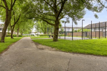 Omgeving
