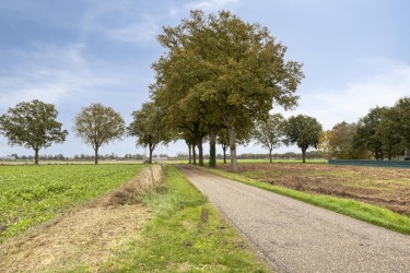 Extra foto's