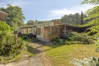 Tuin
