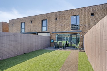 Tuin
