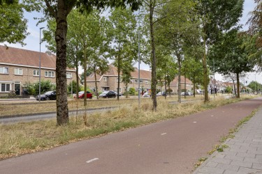 Extra foto's