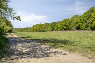 Extra foto's
