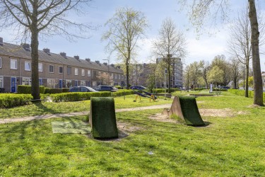 Omgeving