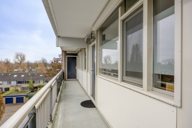 Omgeving