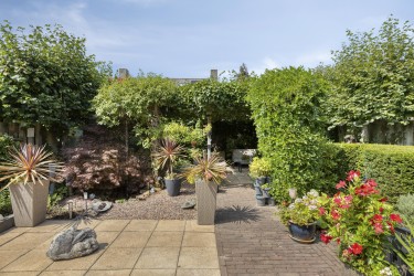 Tuin