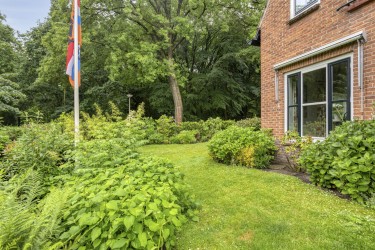 Tuin