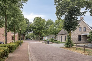 Omgeving