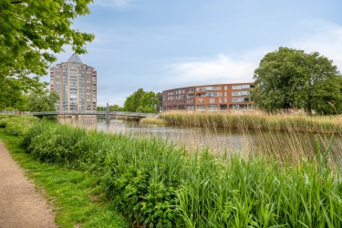 Groene omgeving