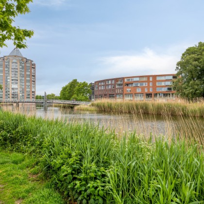 Groene omgeving