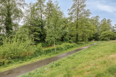 Omgeving