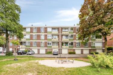 Omgeving