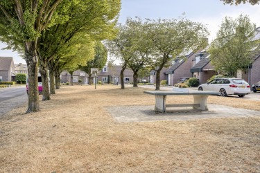 Extra foto's