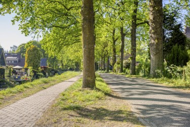 Omgeving