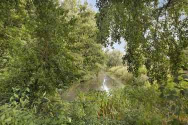 Omgeving