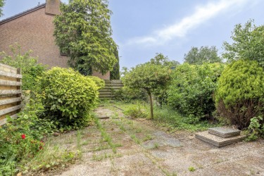 Tuin