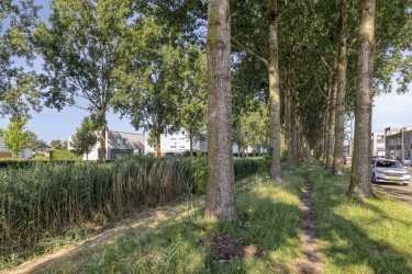 Extra foto's