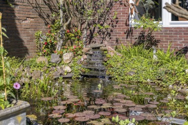 Extra foto's