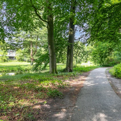 Groene omgeving