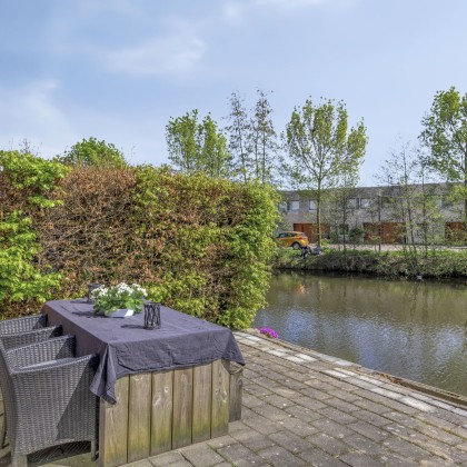 Zonnige tuin