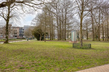 Aan het park