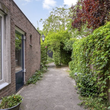 Diepe tuin