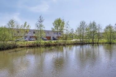 Omgeving