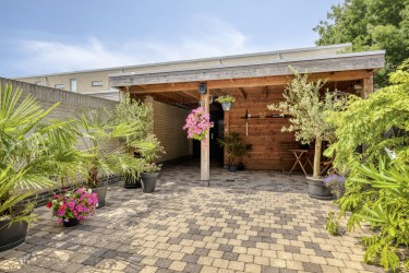 Tuin