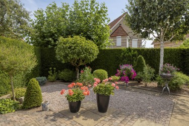 Tuin