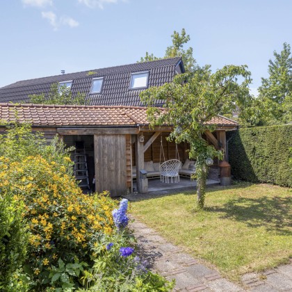 Zonnige tuin