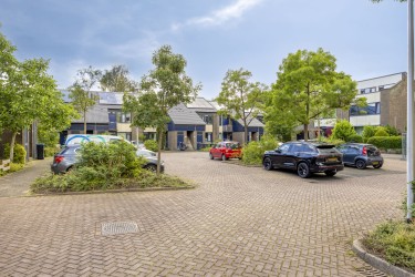 Omgeving