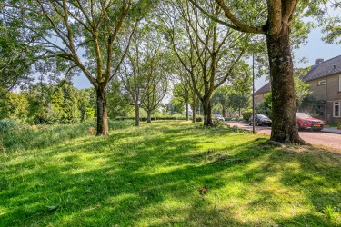 Omgeving