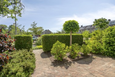 Tuin