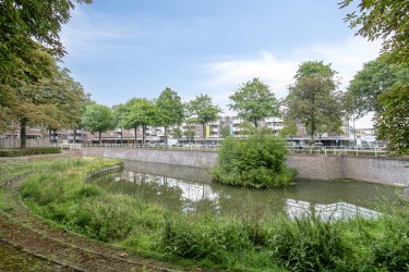 Omgeving