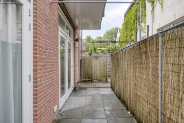 Tuin