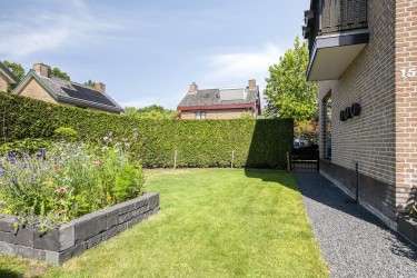 Tuin