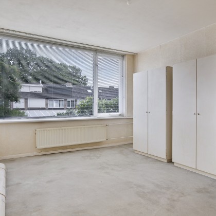 Veel licht